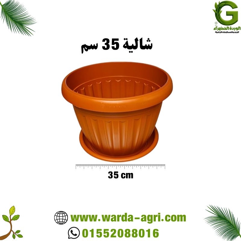 شالية طوبي 35 سم - للزراعة