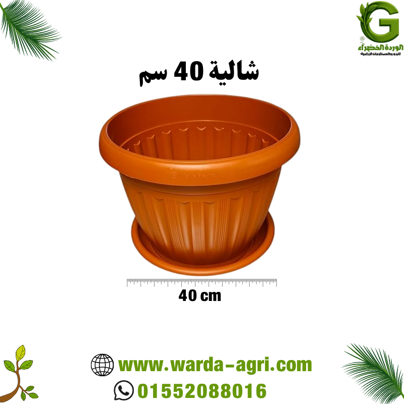 شالية طوبي 40 سم - للزراعة