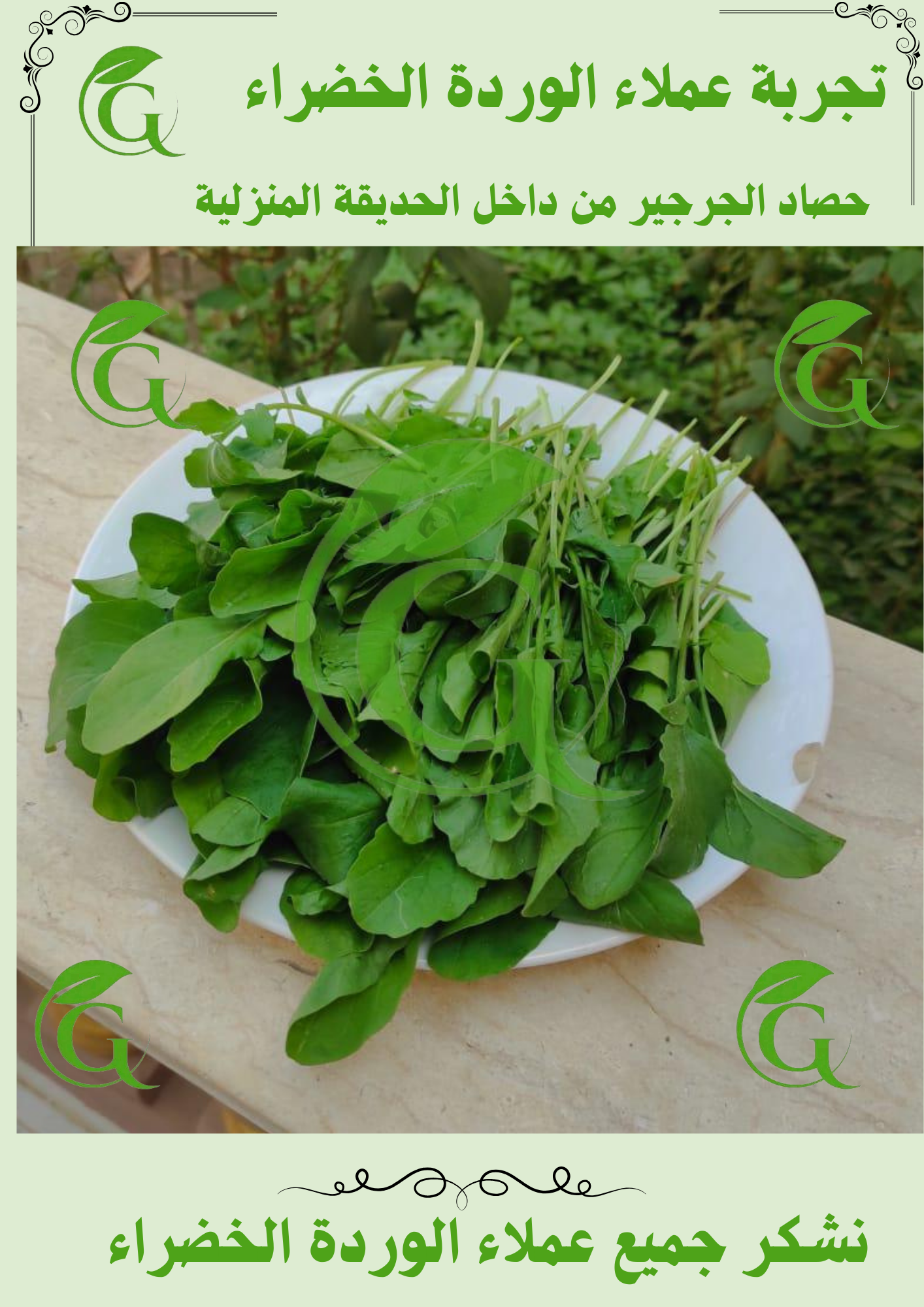 مسابقات الوردة الخضراء في الزراعة (3)