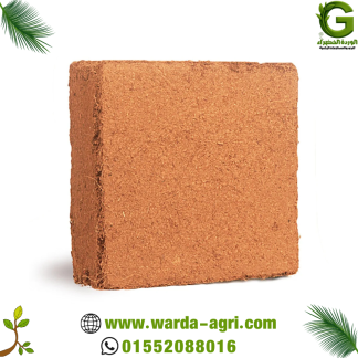 قالب كوكوبيت