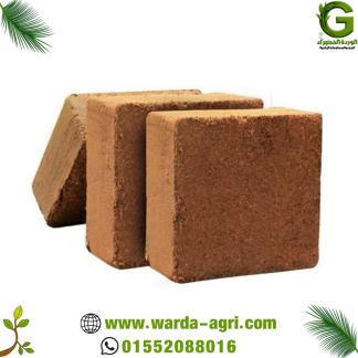 قالب كوكوبيت