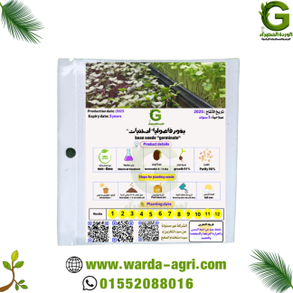 بذور فاصوليا ميكروجرينز