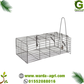 مصيدة الفئران - التخلص من الفئران